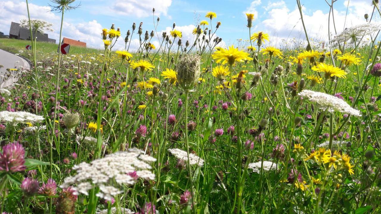 Gemuetliches Haeuschen Im Alten Land 约克 外观 照片