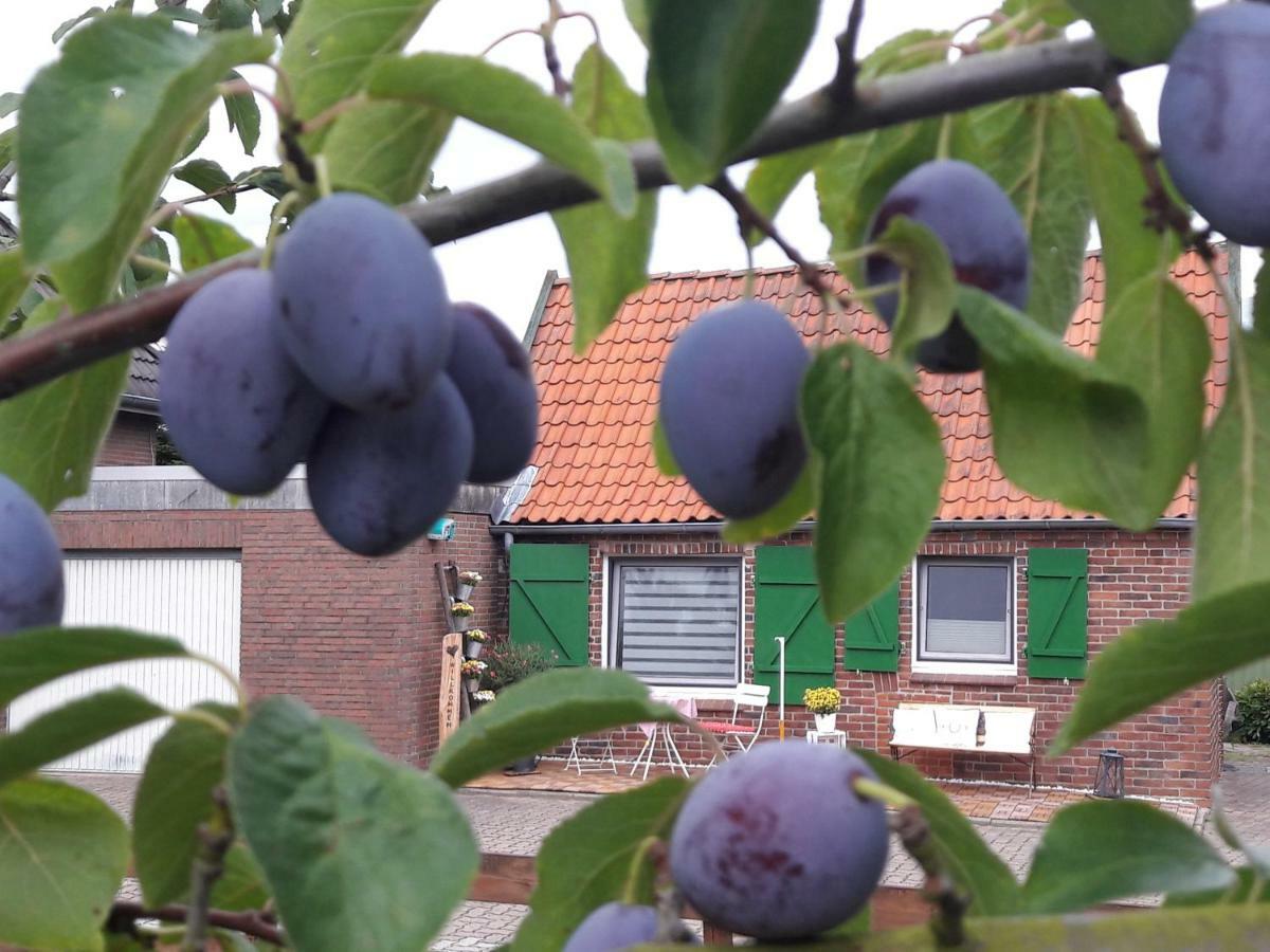 Gemuetliches Haeuschen Im Alten Land 约克 外观 照片